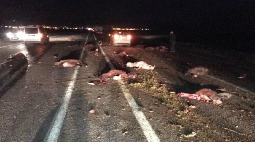 Doğubayazıt&rsquo;ta 35 Koyun Telef Oldu