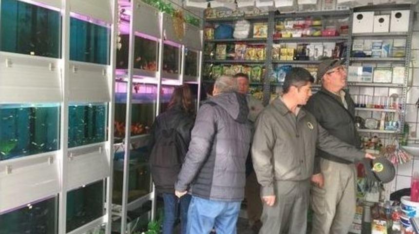 Pet Shoplar Denetlendi