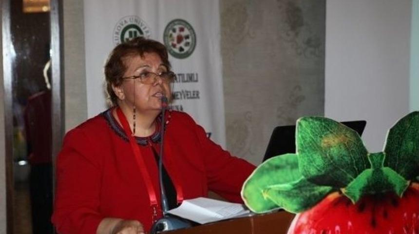 T&uuml;rkiye, &Ccedil;ilek &Uuml;retiminde D&uuml;nyada 3. Sırada