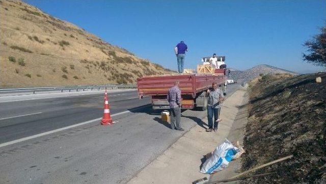 Evlenecek Çifti Ayıran Korkunç Kaza: 3 Ölü, 2 Yaralı