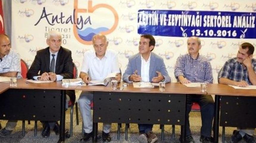 Antalya Zeytinyağını Markalaştıracak Adımlar Atılıyor