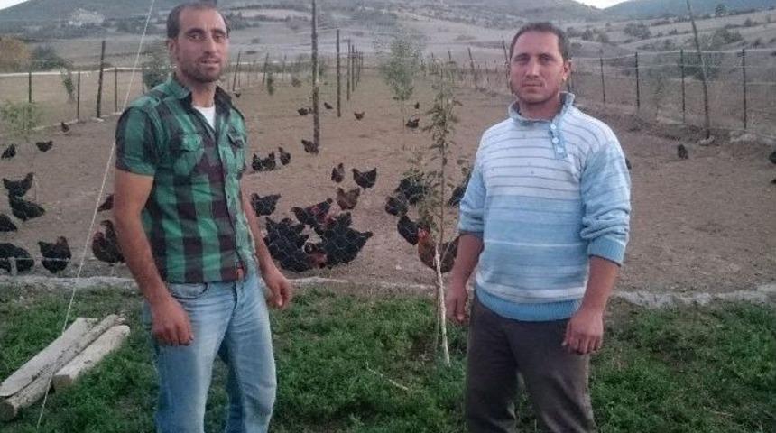 Gen&ccedil; Girişimci Kardeşlerden &Ouml;rnek İşletme