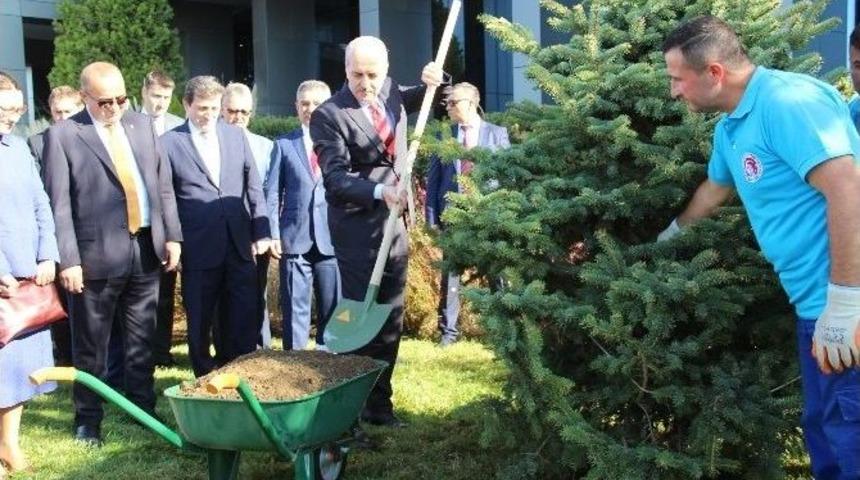 Başbakan Yardımcısı Numan Kurtulmuş &Ccedil;om&uuml;&rsquo;de Fidan Dikti