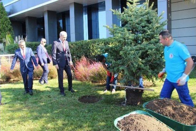 Başbakan Yardımcısı Numan Kurtulmuş Çomü’de Fidan Dikti 1