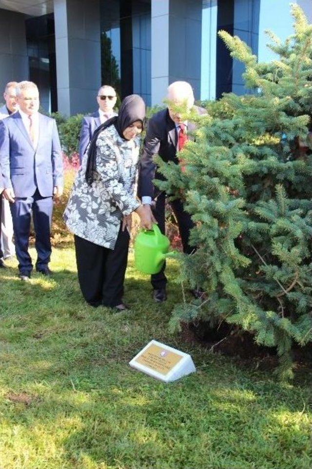 Başbakan Yardımcısı Numan Kurtulmuş Çomü’de Fidan Dikti 3