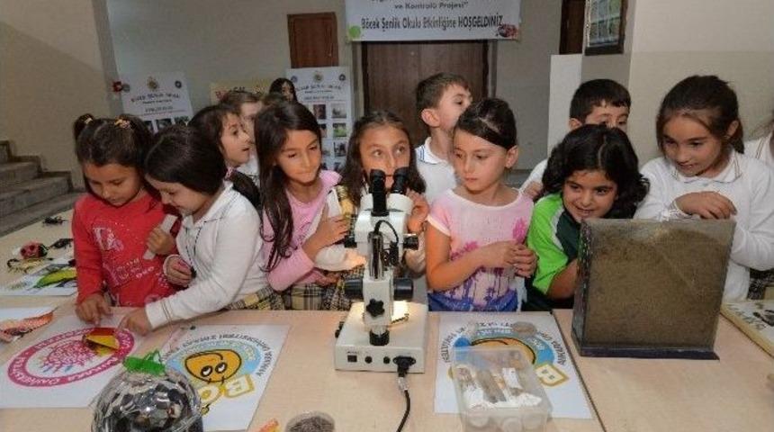 &Ouml;ğrenciler B&ouml;ceklerden Korkmamayı Ve Doğa İle B&uuml;t&uuml;nleşmeyi &Ouml;ğreniyor