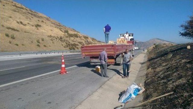 Düğün Hazırlığı Yapan Çifti Kaza Ayırdı, Yola Savrulan Davetiye Görenleri Ağlattı