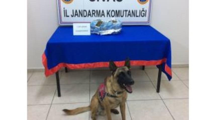 Sivas&rsquo;ta 1 Kilo 930 Gram Esrar Yakalandı