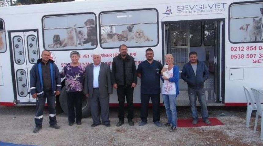 &Ccedil;ardak&rsquo;ta Sokak Hayvanları Kısırlaştırılıyor