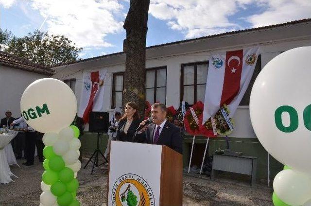 Gerze Orman İşletme M&uuml;d&uuml;rl&uuml;ğ&uuml; A&ccedil;ıldı 1