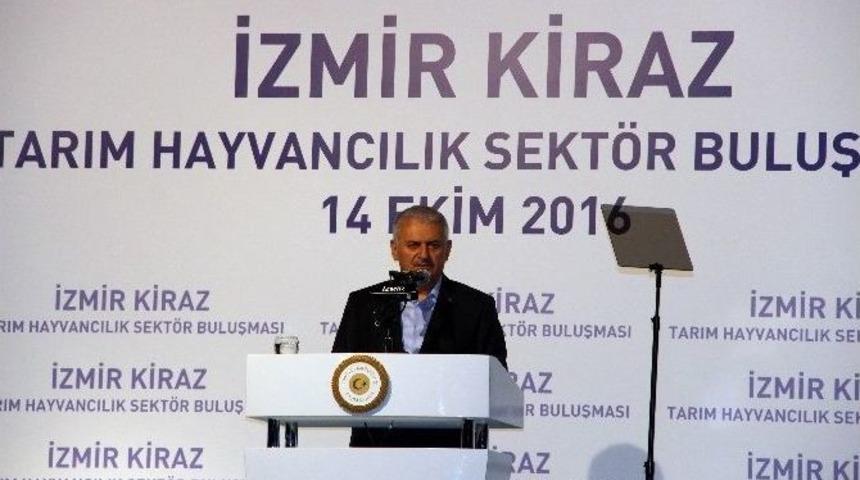 Başbakan Yıldırım: &ldquo;başımıza Gelen Tabiri Caizse Pişmiş Tavuğun Başına Gelmedi&rdquo;