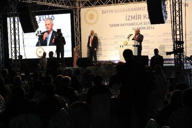 Başbakan Yıldırım: “başımıza Gelen Tabiri Caizse Pişmiş Tavuğun Başına Gelmedi”