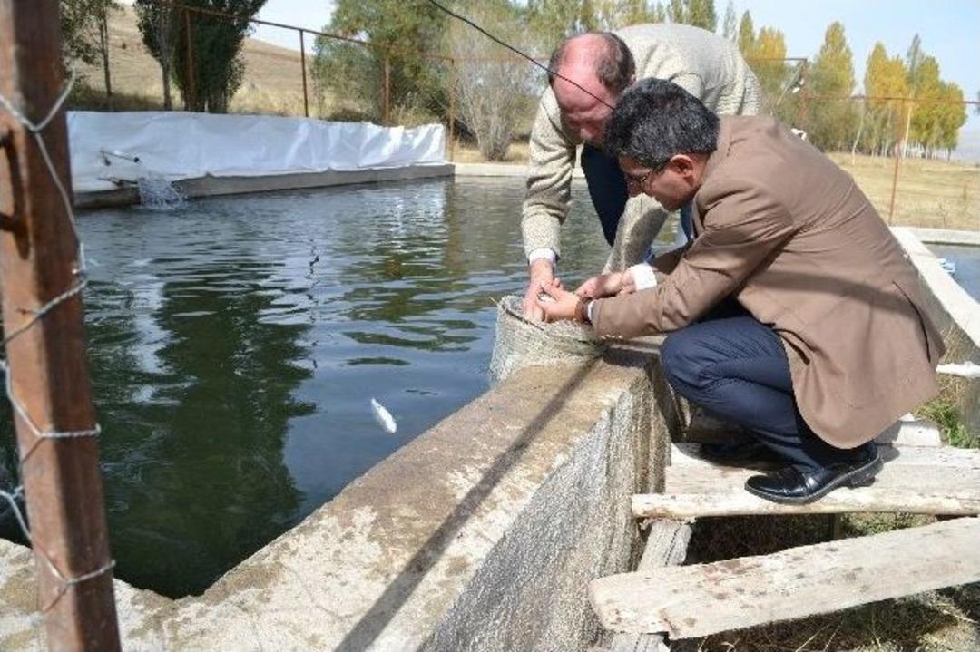 M&uuml;d&uuml;r Engin Alabalık Tesisini Ziyaret Etti