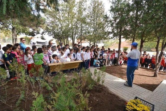 &rsquo;toprak Vatandır Okul Bah&ccedil;elerinde&rsquo; Projesi 1