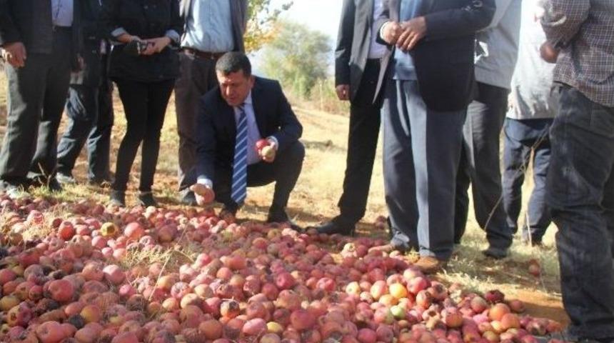 Chp Genel Başkan Yardımcısı Ve Malatya Milletvekili Veli Ağbaba: