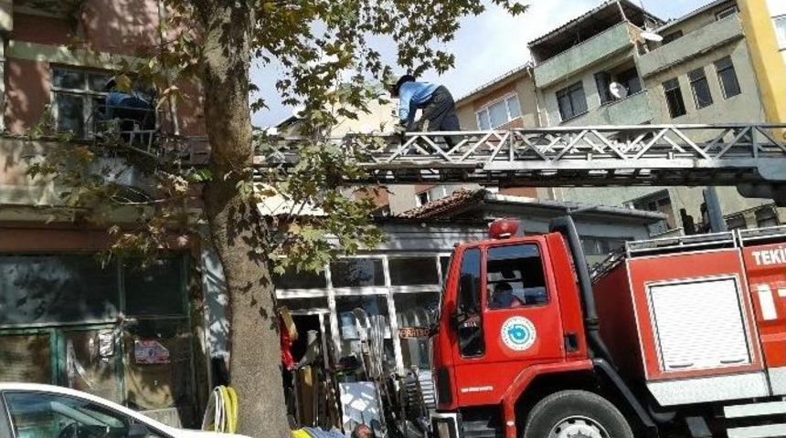 Balkonda Mahsur Kalan Kedi İtfaiye Tarafından Kurtarıldı
