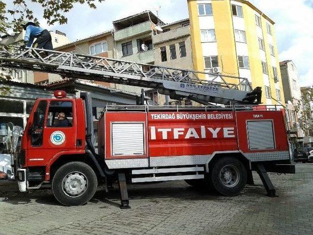 Balkonda Mahsur Kalan Kedi İtfaiye Tarafından Kurtarıldı 1