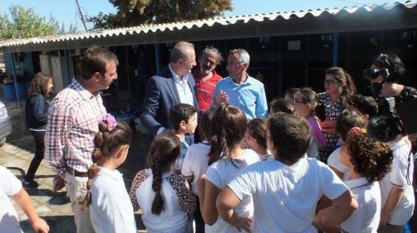 Bileklik Yapıp Satarak Barınaktaki Hayvanlara Mama Aldılar