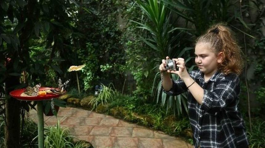 Bağcılarlı&nbsp;&ccedil;ocuklar Kelebek &Ccedil;iftliği&rsquo;ni Gezdi