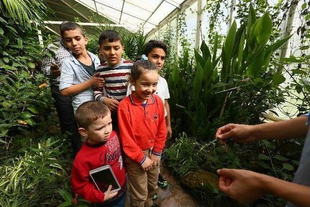 Bağcılarlı&nbsp;&ccedil;ocuklar Kelebek &Ccedil;iftliği&rsquo;ni Gezdi 1
