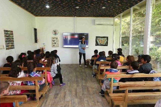 Bağcılarlı&nbsp;&ccedil;ocuklar Kelebek &Ccedil;iftliği&rsquo;ni Gezdi 2