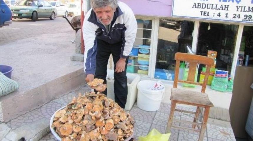 Hisarcık&rsquo;ta Melki Mantarı Tezgaha İndi