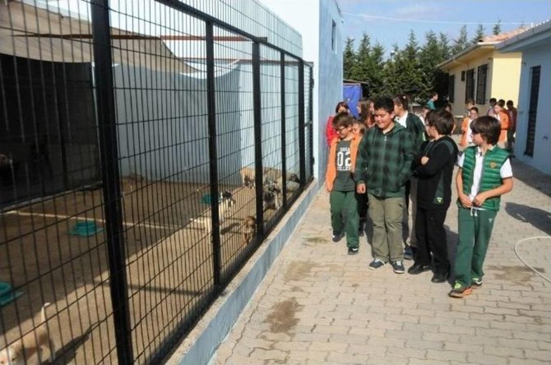 &Ouml;ğrenciler Sevgilerini Minik Dostlarıyla Paylaştı