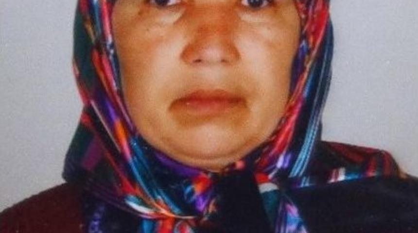 Ceviz Toplarken Foseptik &Ccedil;ukuruna D&uuml;şen Kadın &Ouml;ld&uuml;