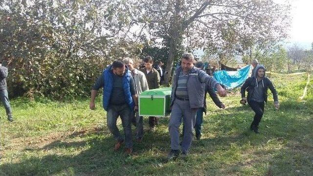 Ceviz Toplarken Foseptik Çukuruna Düşen Kadın Öldü