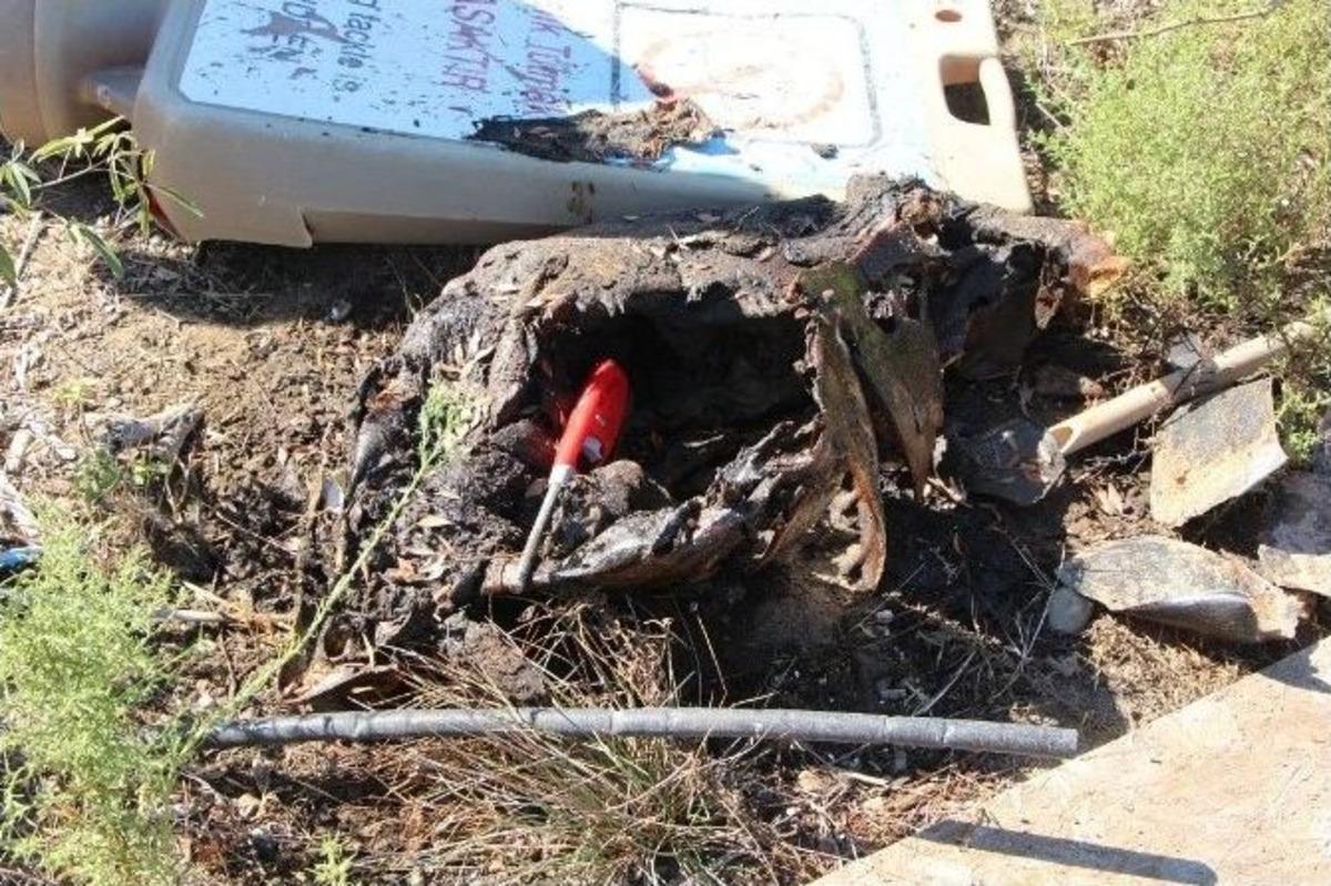 Fethiye&rsquo;de Yakılmış Caretta Caretta