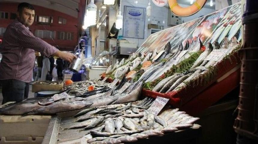 Balıklar Ucuzladı, Rağbet Arttı