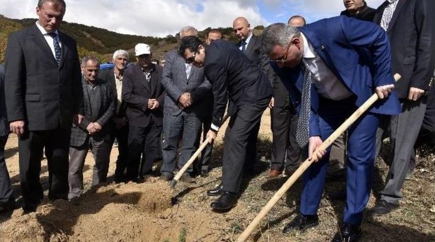K&ouml;se&rsquo;de 41 Bin Fidan Toprakla Buluştu