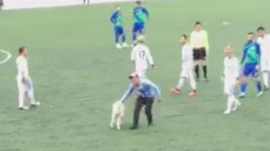 Sahaya K&ouml;pek Girince Ma&ccedil; Durdu