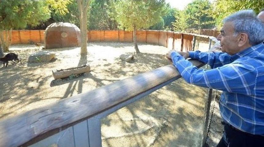 Hoş Geldin &rsquo;pıtır&rsquo;