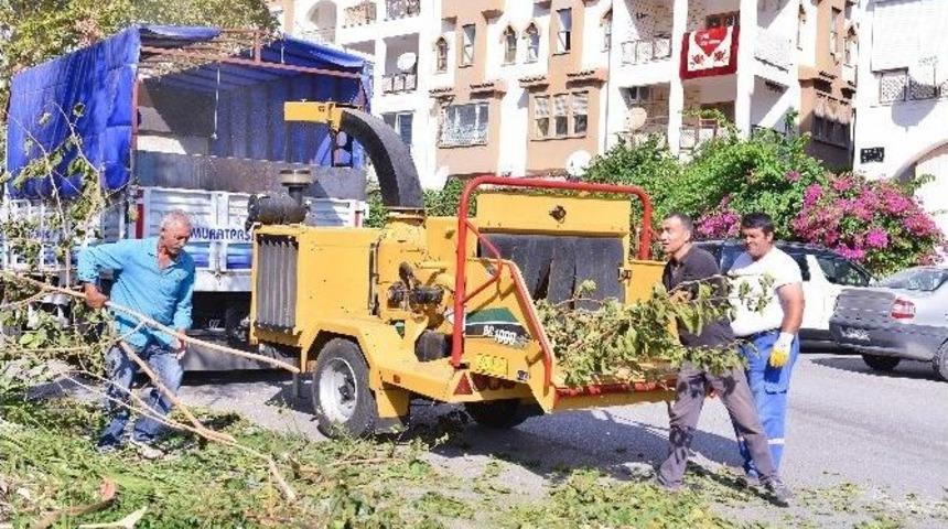 Muratpaşa&rsquo;da Ağa&ccedil; Dalları, Bah&ccedil;e Atıkları G&uuml;breye D&ouml;n&uuml;ş&uuml;yor