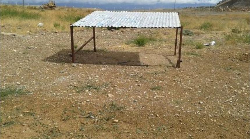 B&uuml;y&uuml;kşehirden Sokak Hayvanları İ&ccedil;in G&ouml;lgelik