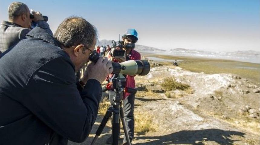 Van&rsquo;da Doğu&rsquo;nun Kanatları Van Er&ccedil;ek G&ouml;l&uuml; Flamingo Festivali