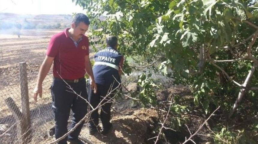 Ağa&ccedil;lık Alanda &Ccedil;ıkan Yangında Yaklaşık 25 Ağa&ccedil; Zarar G&ouml;rd&uuml;