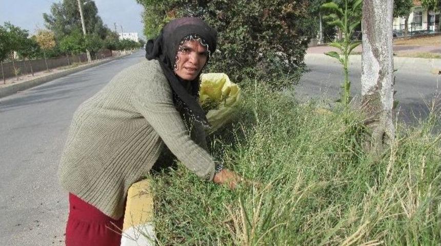 Diyarbakırlı Hasibe&rsquo;nin Aydın&rsquo;daki Yaşam Savaşı