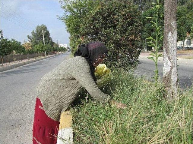 Diyarbakırlı Hasibe&rsquo;nin Aydın&rsquo;daki Yaşam Savaşı 2