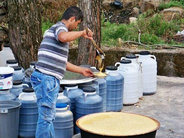 Hassa’da Pekmez Köpüğü Zamanı