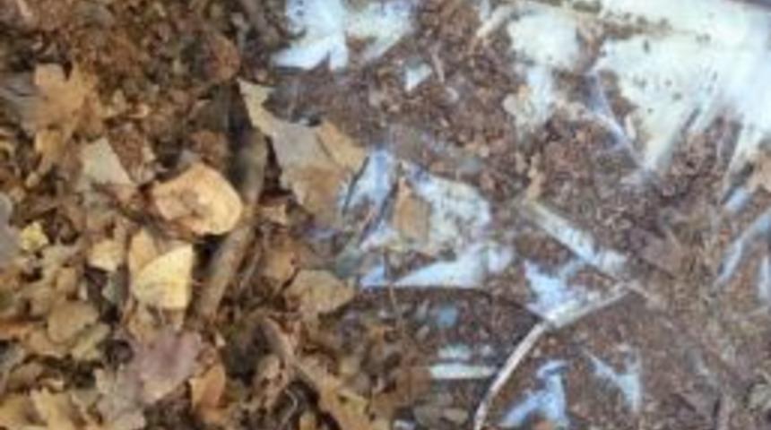 Bing&ouml;l&rsquo;de Ter&ouml;ristlere Ait 4 Sığınak Ele Ge&ccedil;irildi