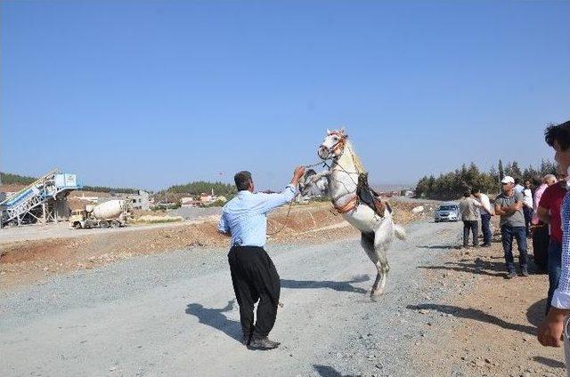 T&uuml;rkoğlu&rsquo;nda At Yarışları 1