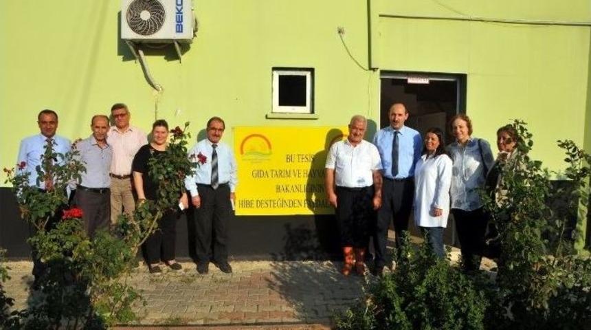 Tekin, Yatırım Desteği Alan Tesisleri Ziyaret Etti