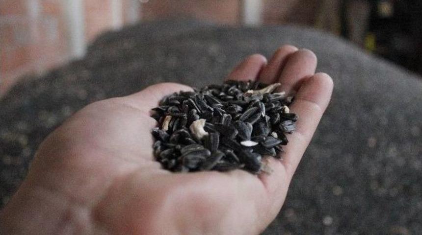 &Uuml;reticiler, Tarım Kredi&rsquo;nin Ay&ccedil;i&ccedil;eği Alımından Memnun