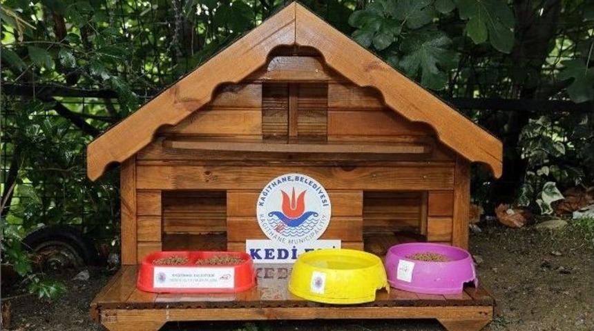 Kağıthane&rsquo;de Kedi Ve K&ouml;pek Evleri Dezenfekte Ediliyor