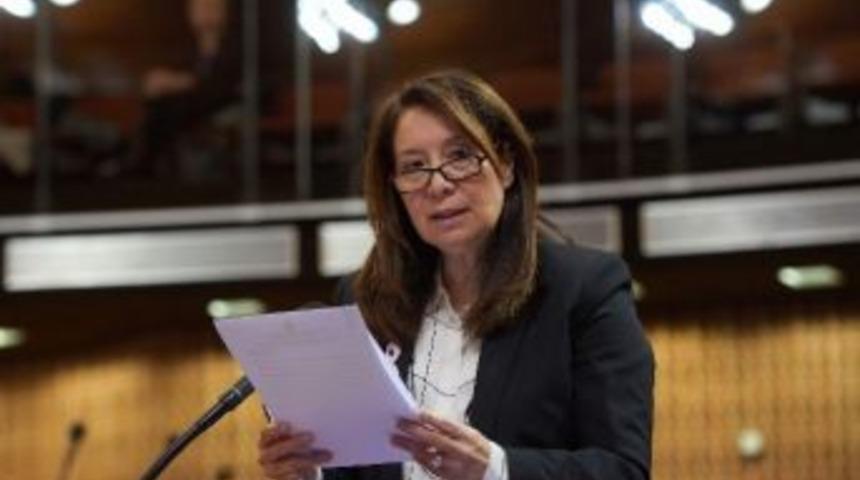 Milletvekili G&uuml;nay, Avrupalı Parlamenterlere &lsquo;15 Temmuz&rsquo;u Anlattı