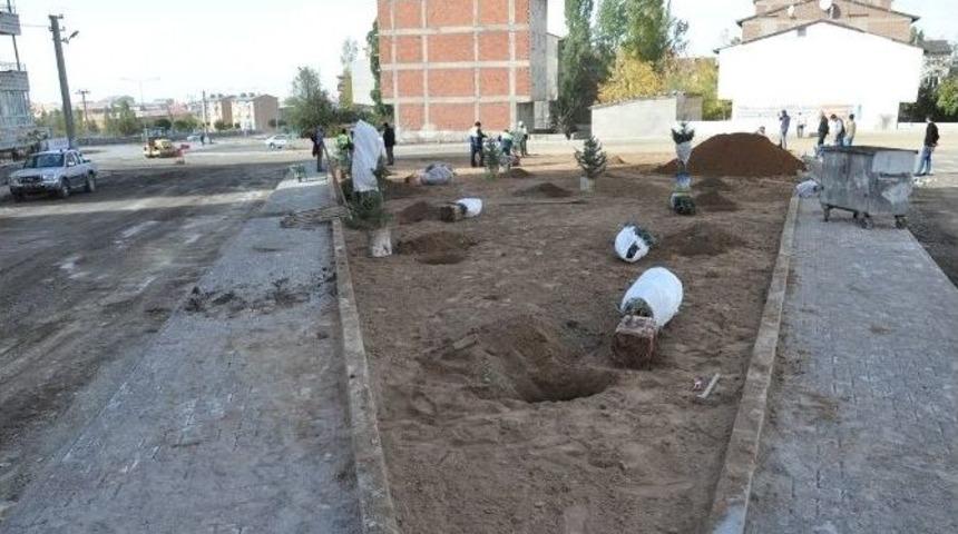 Paland&ouml;ken Belediyesi &rsquo;&rsquo;sevdamız Yeşil Bir Paland&ouml;ken&rsquo;&rsquo; Sloganıyla Bin Fidan Dikimine Başladı