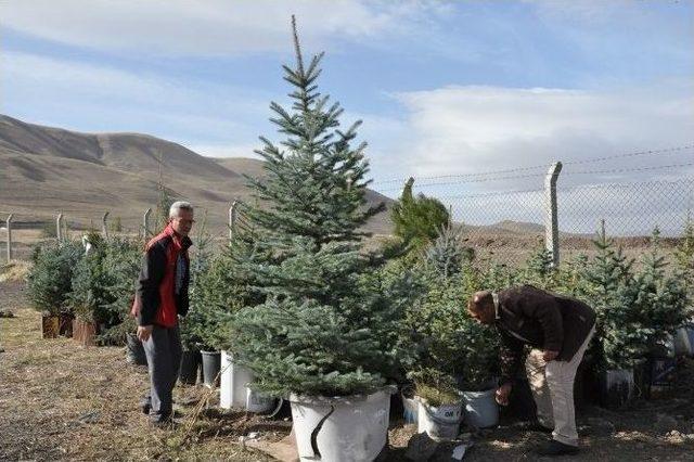 Palandöken Belediyesi ’’sevdamız Yeşil Bir Palandöken’’ Sloganıyla Bin Fidan Dikimine Başladı