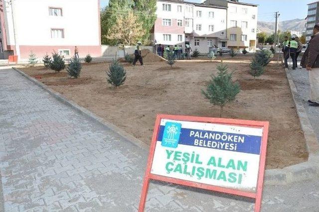 Palandöken Belediyesi ’’sevdamız Yeşil Bir Palandöken’’ Sloganıyla Bin Fidan Dikimine Başladı